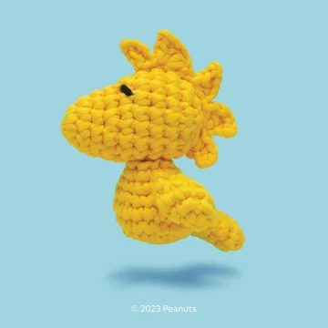 Coffret Peanuts en folie